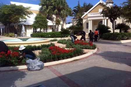 Proyecto 7