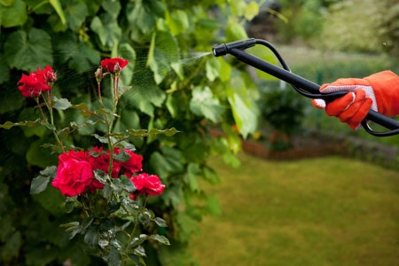 Mantenimiento de Jardines