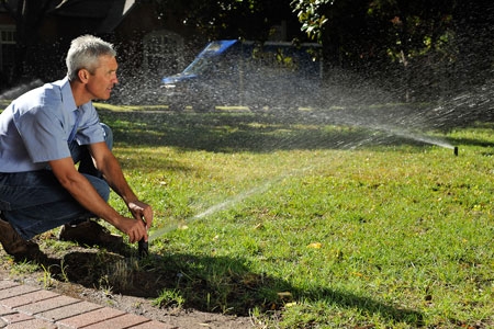 Mantenimiento de Jardines