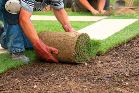 Jardinería