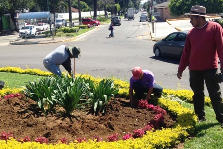 Jardinería
