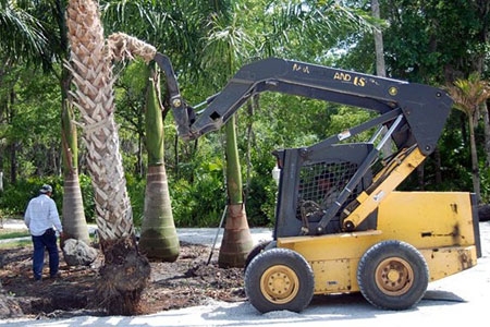 Jardinería